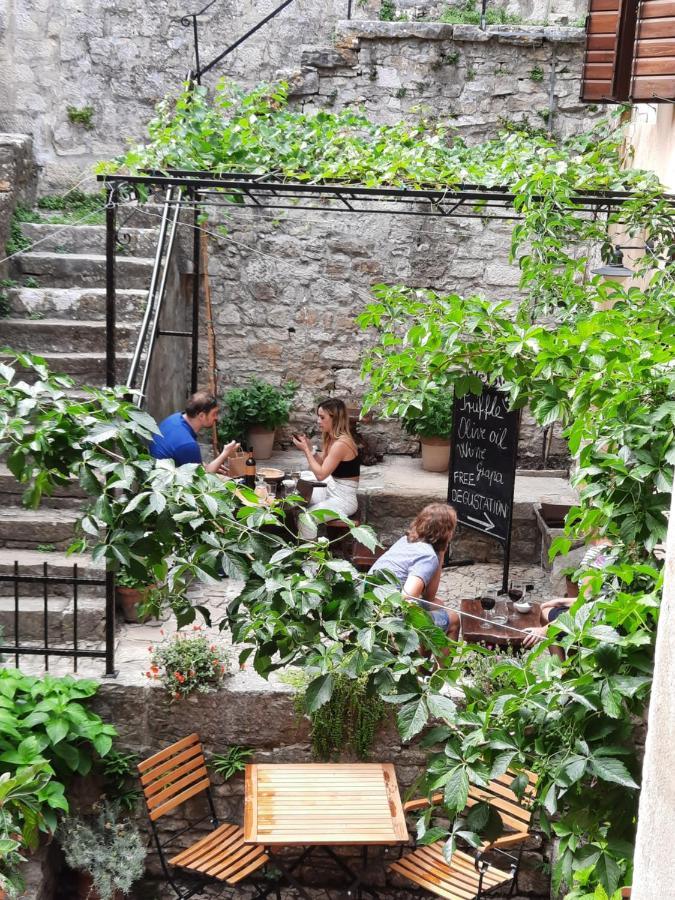 Bed & Breakfast Antico Motovun Kültér fotó