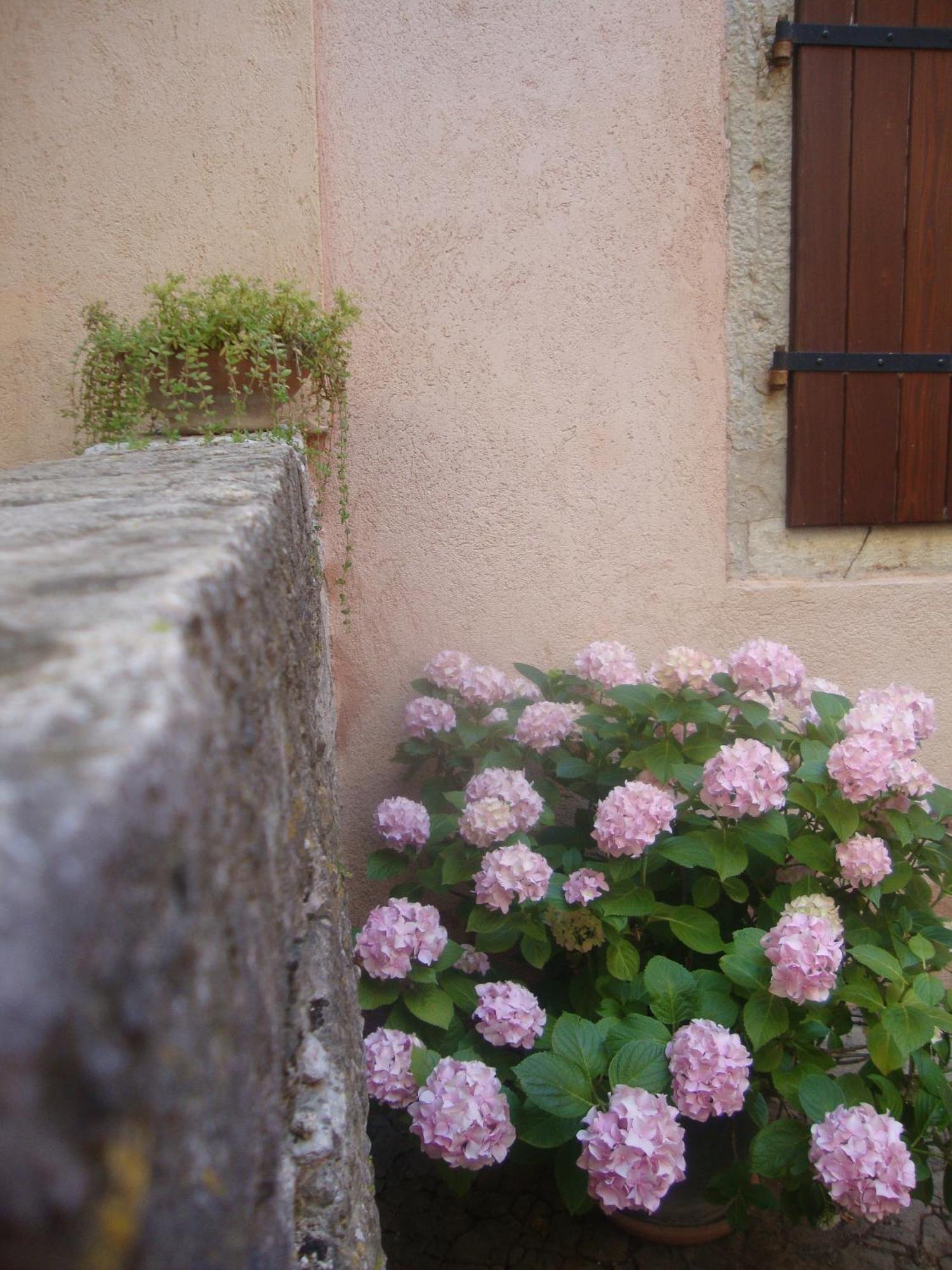 Bed & Breakfast Antico Motovun Kültér fotó