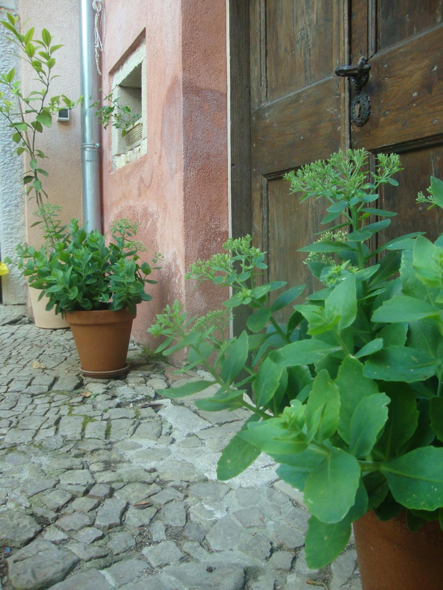 Bed & Breakfast Antico Motovun Kültér fotó