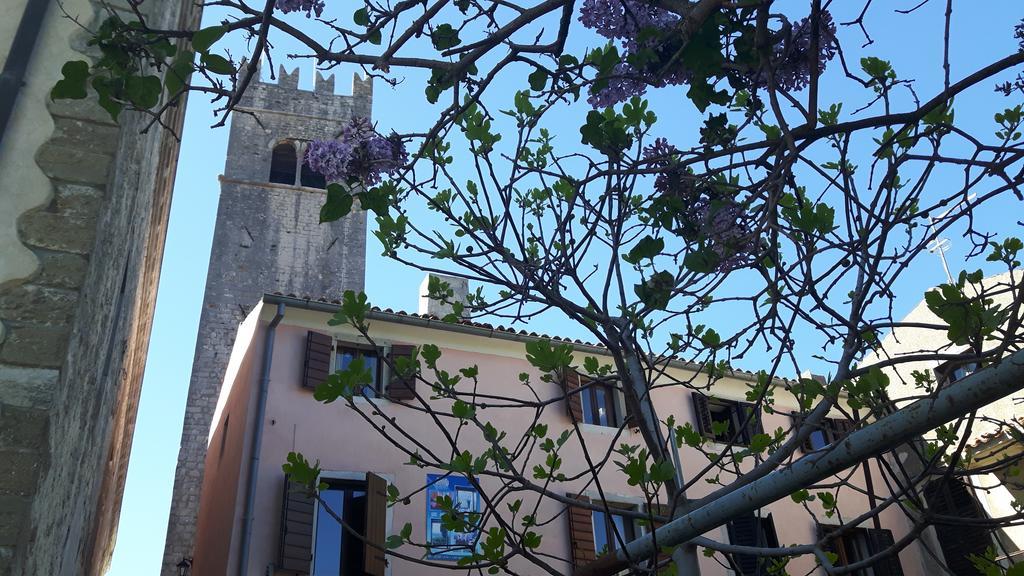 Bed & Breakfast Antico Motovun Kültér fotó