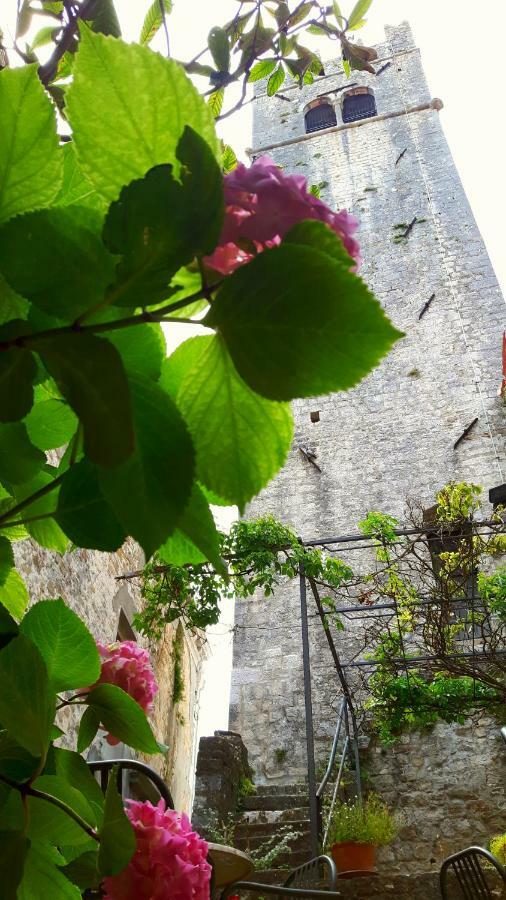 Bed & Breakfast Antico Motovun Kültér fotó